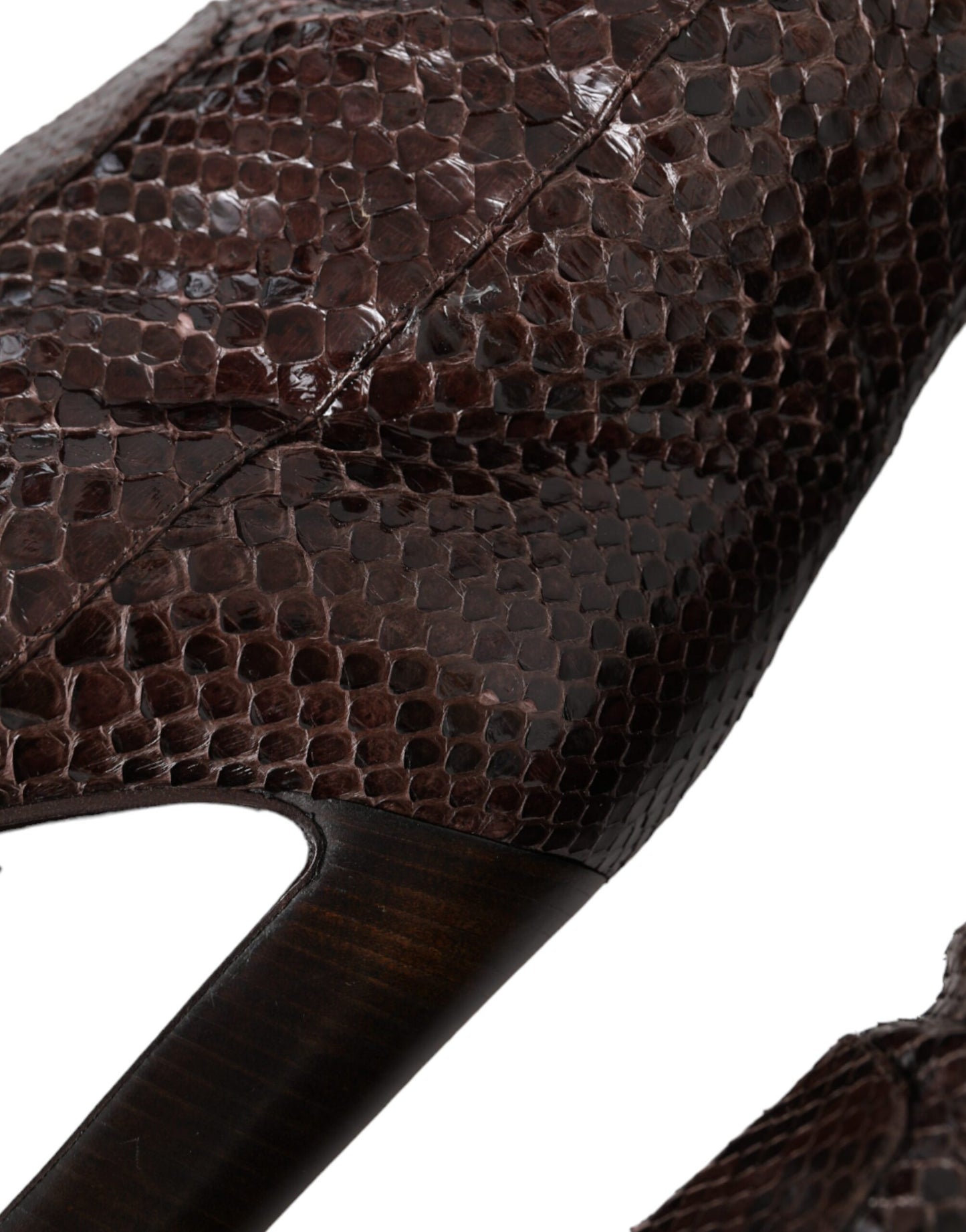 Brown Exotic Leather Heels High Boots Shoes Shoes Dolce & Gabbana