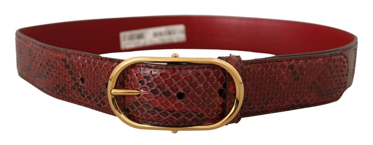 Red Exotic Leather Gold Oval Buckle Belt Belt Dolce & Gabbana
