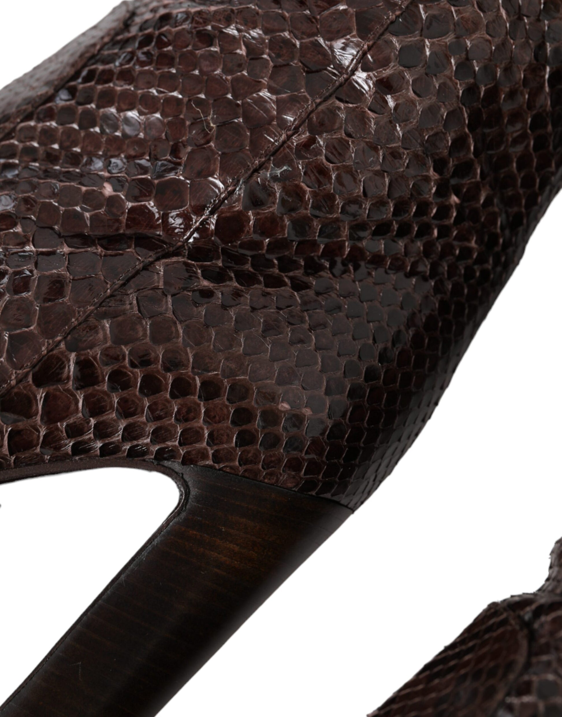 Brown Exotic Leather Heels High Boots Shoes Shoes Dolce & Gabbana